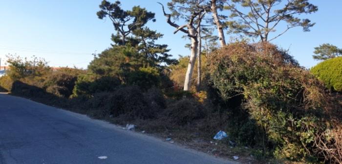 부산광역시 강서구 대저1동 305-4 답 경매 사진 25