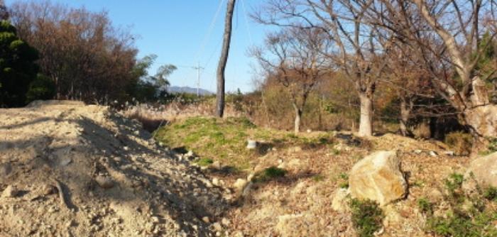 부산광역시 강서구 대저1동 305-4 답 경매 사진 29