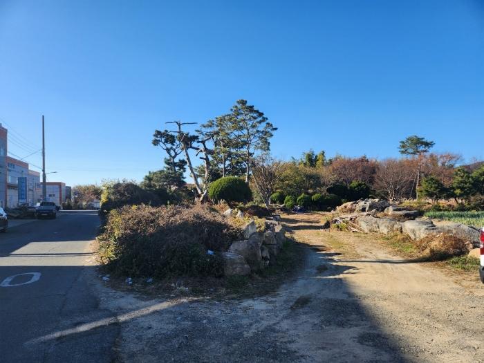 부산광역시 강서구 대저1동 305-4 답 경매 사진 8