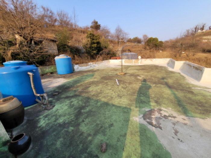 전라남도 광양시 태인동 651 전 경매 사진 19