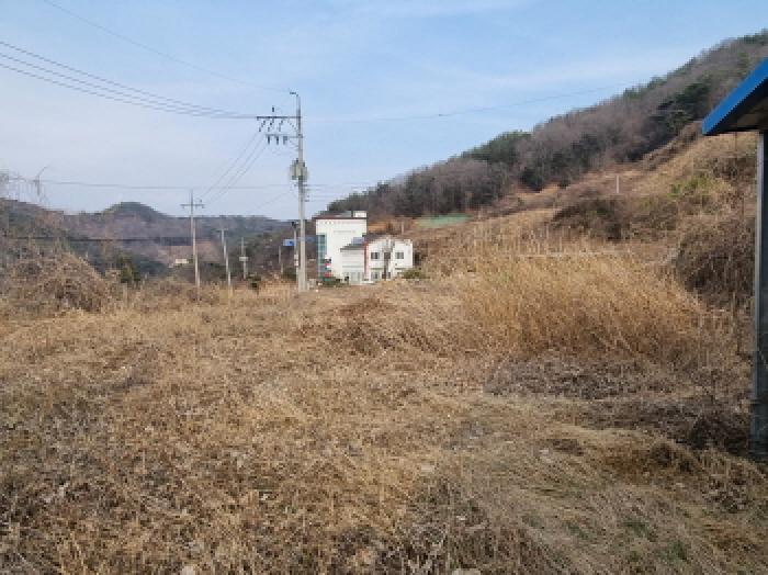 전라남도 순천시 상사면 쌍지리 8-29 창고용지 경매 사진 12