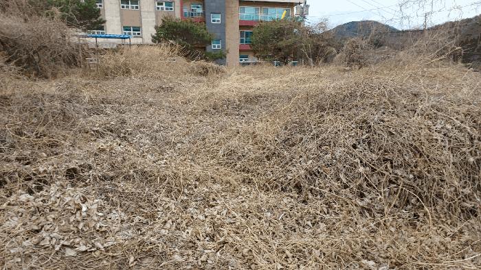 전라남도 순천시 상사면 쌍지리 8-29 창고용지 경매 사진 7