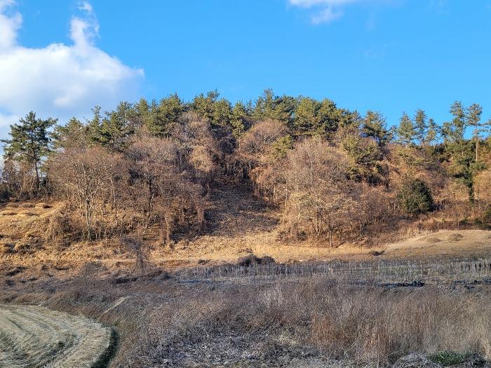 전라남도 고흥군 대서면 화산리 산33 임야 경매 사진 1