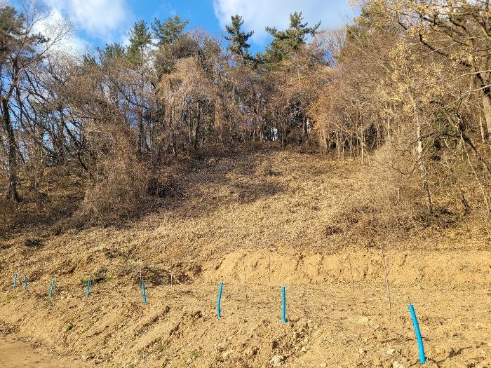 전라남도 고흥군 대서면 화산리 산33 임야 경매 사진 2