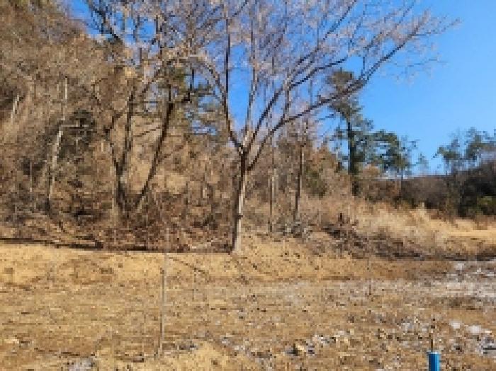 전라남도 고흥군 대서면 화산리 산33 임야 경매 사진 3