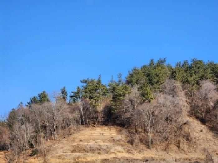 전라남도 고흥군 대서면 화산리 산33 임야 경매 사진 4