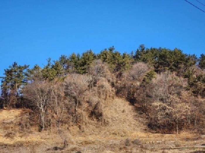 전라남도 고흥군 대서면 화산리 산33 임야 경매 사진 5