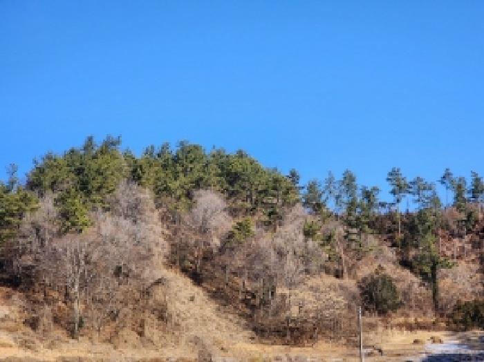 전라남도 고흥군 대서면 화산리 산33 임야 경매 사진 6