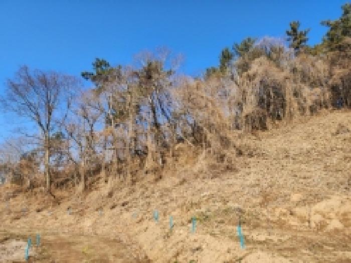 전라남도 고흥군 대서면 화산리 산33 임야 경매 사진 7
