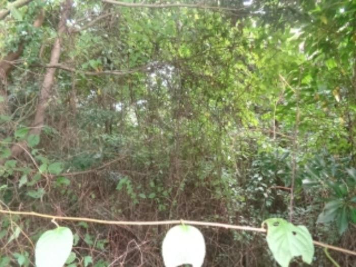 제주특별자치도 제주시 애월읍 상가리 1145-10 주택 경매 사진 70