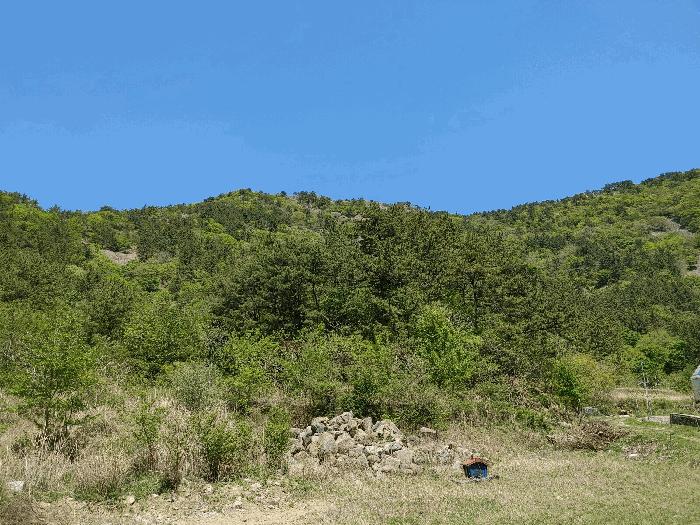 경상남도 통영시 사량면 읍덕리 산37 임야 경매 사진 1
