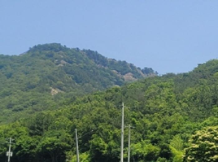 경상남도 통영시 사량면 읍덕리 산37 임야 경매 사진 9