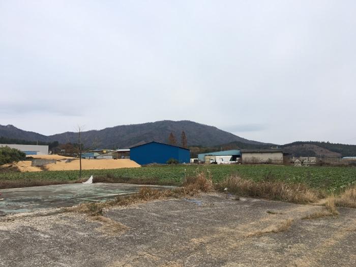 전라남도 해남군 북일면 운전리 207 창고 경매 사진 8