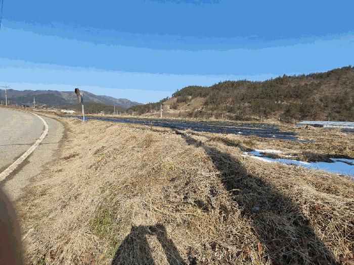 전라남도 화순군 청풍면 대비리 36 전 경매 사진 1