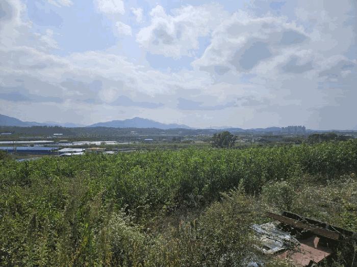경상북도 영천시 범어동 632 과수원 경매 사진 4
