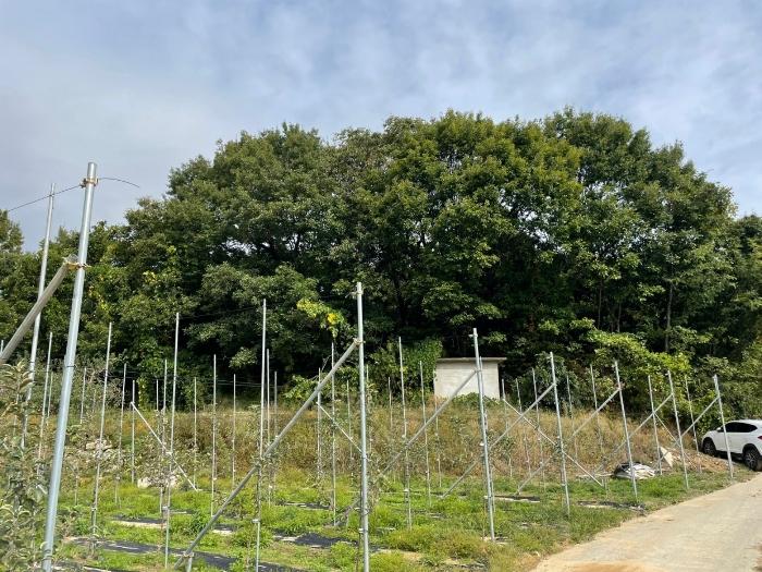충청북도 영동군 추풍령면 죽전리 287구) 충청북도 영동군 추풍령면 죽전리 287 임야 경매 사진 1