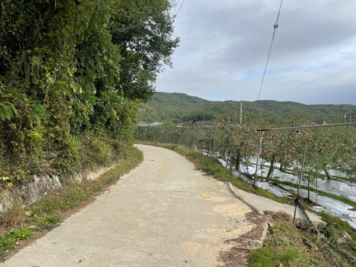 충청북도 영동군 추풍령면 죽전리 287구) 충청북도 영동군 추풍령면 죽전리 287 임야 경매 사진 2
