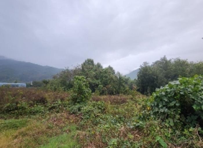 충청북도 영동군 추풍령면 죽전리 287구) 충청북도 영동군 추풍령면 죽전리 287 임야 경매 사진 7