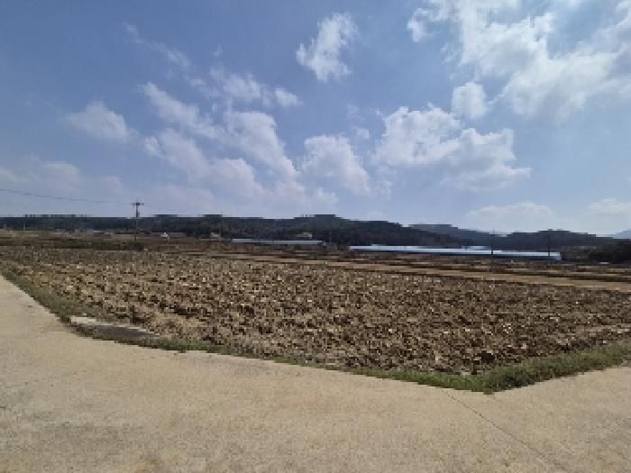 전라남도 영광군 대마면 화평리 447-1 전 경매 사진 11