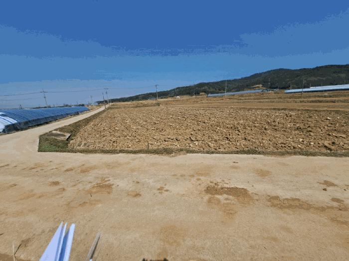 전라남도 영광군 대마면 화평리 447-1 전 경매 사진 4