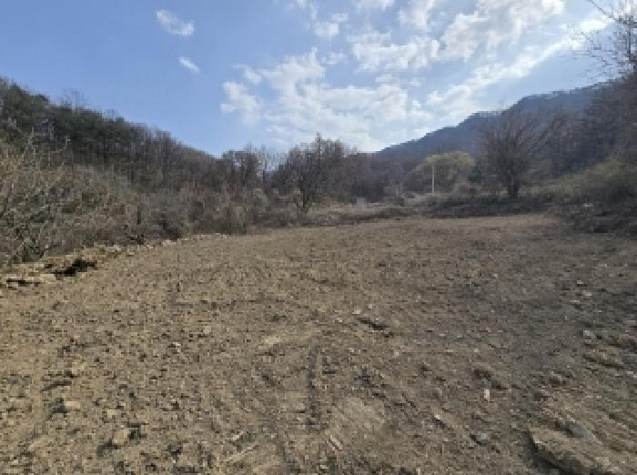 충청북도 보은군 마로면 임곡리 305 전 경매 사진 12