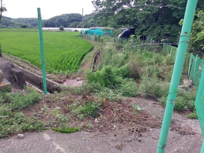충청남도 공주시 신풍면 조평리 124-4 답 경매 사진 4