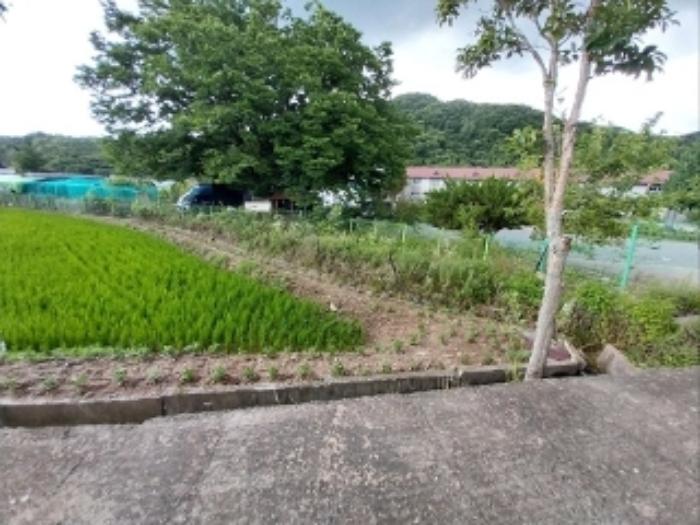 충청남도 공주시 신풍면 조평리 124-4 답 경매 사진 5