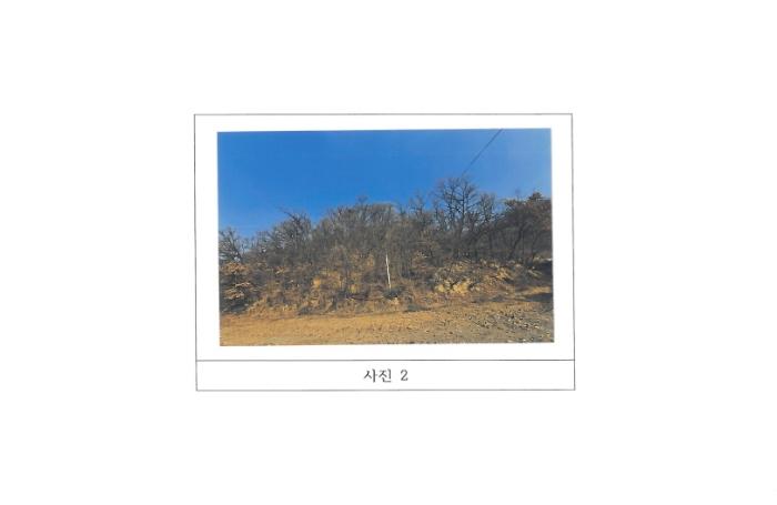 경상북도 김천시 지좌동 산33-25 임야 경매 사진 2