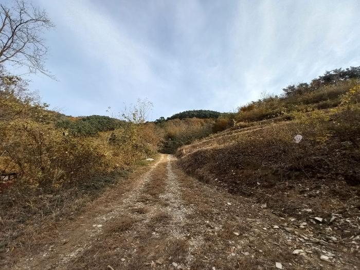 경상남도 고성군 임야