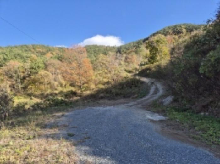 경상남도 고성군 회화면 삼덕리 산75-7 임야 경매 사진 16
