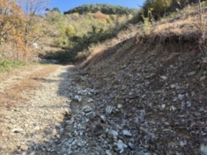 경상남도 고성군 회화면 삼덕리 산75-7 임야 경매 사진 21