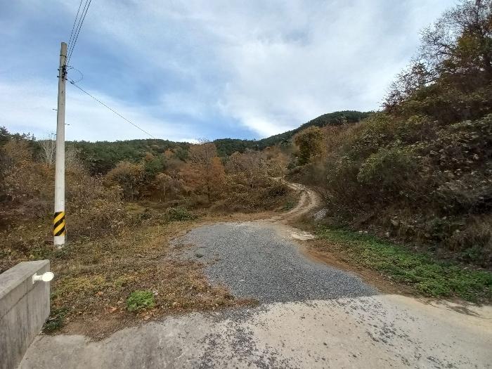 경상남도 고성군 회화면 삼덕리 산75-7 임야 경매 사진 5