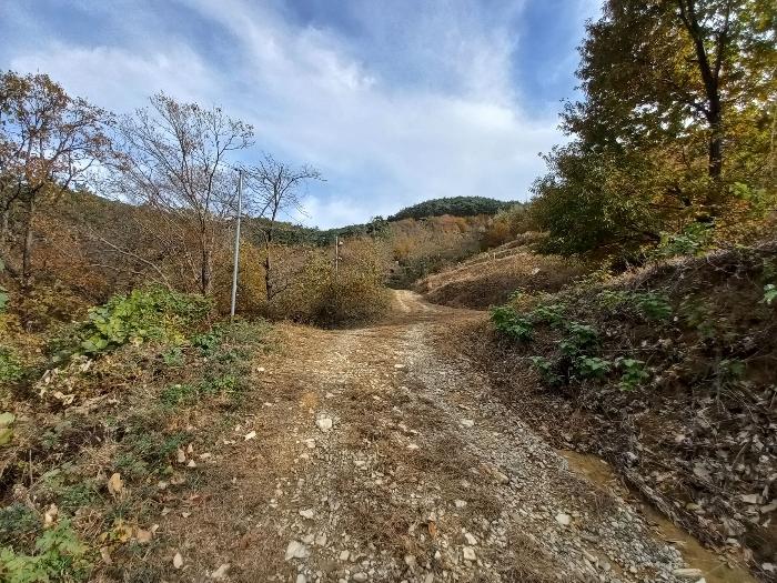 경상남도 고성군 회화면 삼덕리 산75-7 임야 경매 사진 6