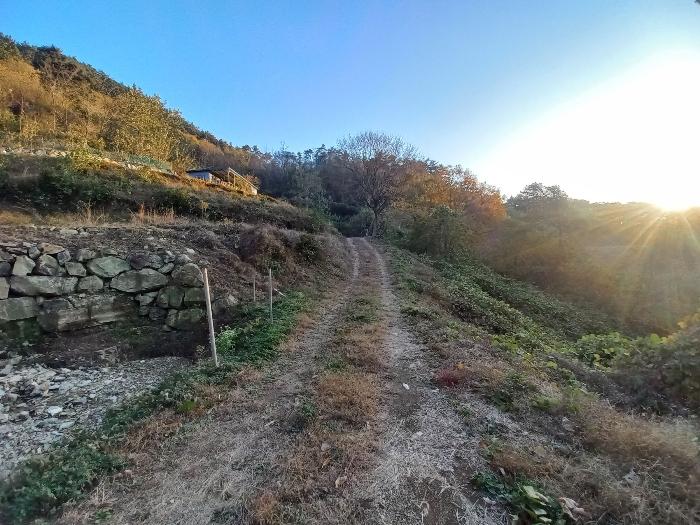 경상남도 고성군 회화면 삼덕리 산75-7 임야 경매 사진 7