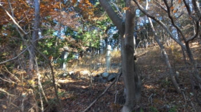 경상남도 거제시 연초면 연사리 산128 임야 경매 사진 11