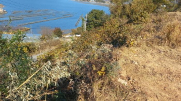 경상남도 거제시 연초면 연사리 산128 임야 경매 사진 6