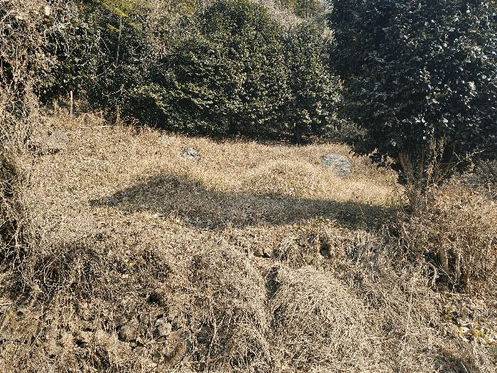경상남도 거제시 하청면 연구리 597-3 임야 경매 사진 2