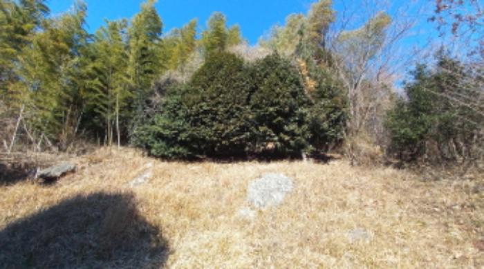 경상남도 거제시 하청면 연구리 597-3 임야 경매 사진 8