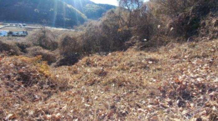 경상남도 거제시 하청면 연구리 597-3 임야 경매 사진 9