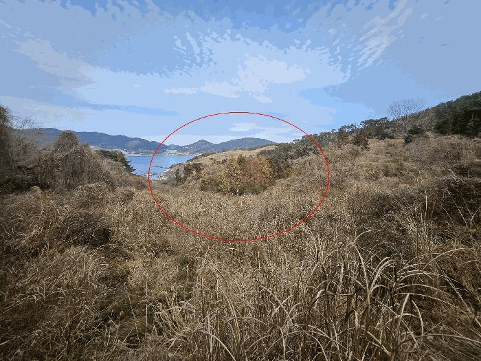 경상남도 거제시 일운면 지세포리 383 전 경매 사진 2