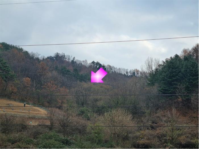 충청남도 금산군 군북면 조정리 144 전 경매 사진 3