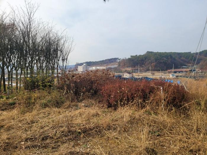 세종특별자치시 장군면 봉안리 산4-7 임야 경매 사진 17
