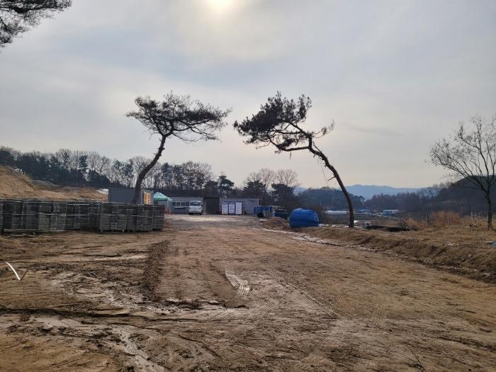 세종특별자치시 장군면 봉안리 산4-7 임야 경매 사진 2