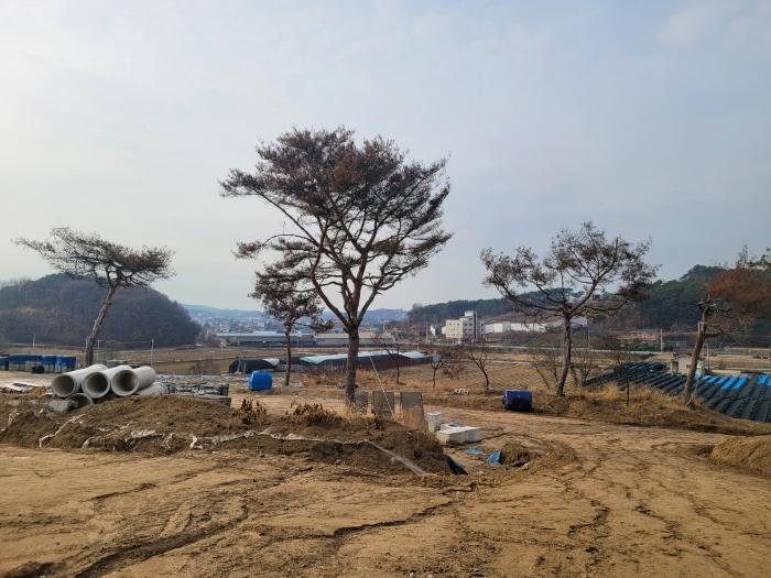 세종특별자치시 장군면 봉안리 산4-7 임야 경매 사진 21