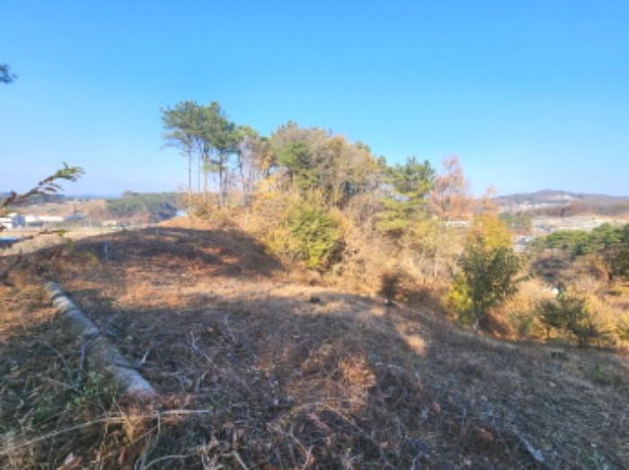 세종특별자치시 장군면 봉안리 산4-7 임야 경매 사진 24