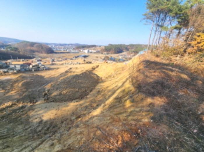 세종특별자치시 장군면 봉안리 산4-7 임야 경매 사진 27