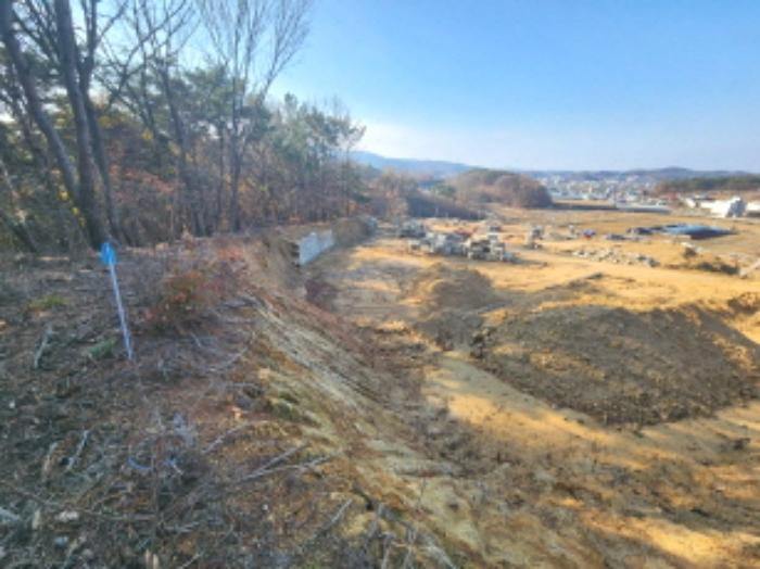 세종특별자치시 장군면 봉안리 산4-7 임야 경매 사진 28