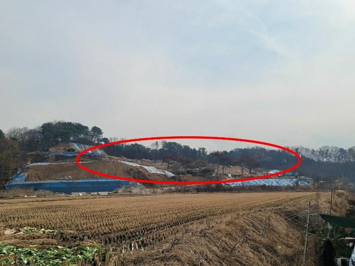 세종특별자치시 장군면 봉안리 산4-7 임야 경매 사진 7