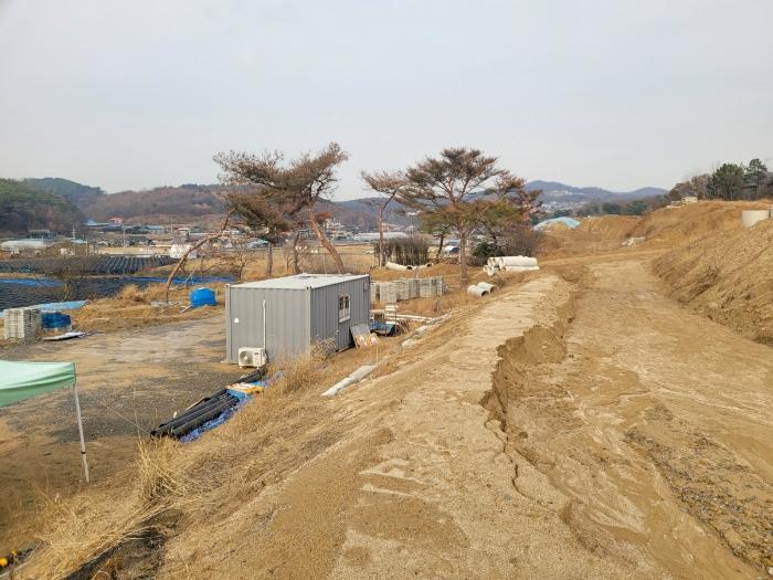 세종특별자치시 장군면 봉안리 산4-7 임야 경매 사진 8