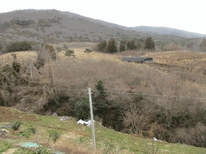 전라남도 고흥군 금산면 석정리 1748 임야 경매 사진 11